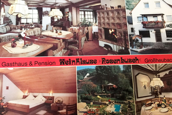 Rosenbusch Postkarte